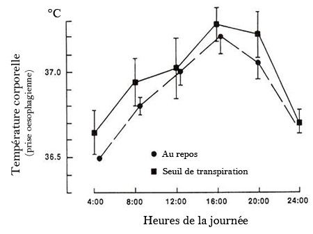 Variation de la température corporelle en fonction des heures de la journée